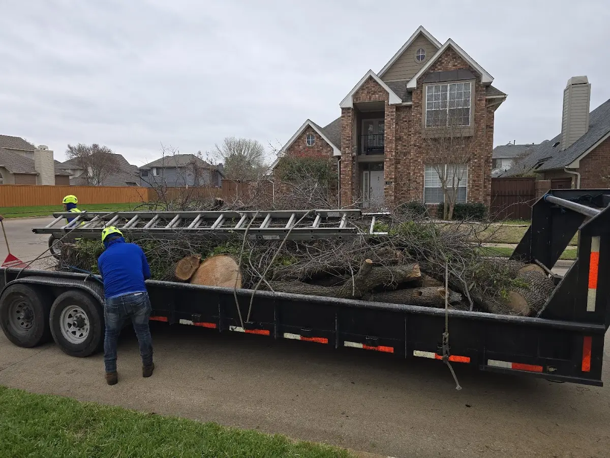 Expert Tree Fertilization with proper safety equipment in Oxford